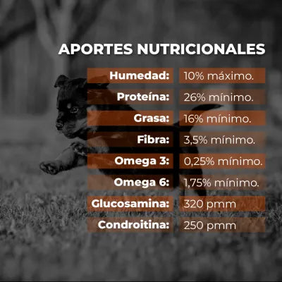 Puppy - Alimento para cachorros