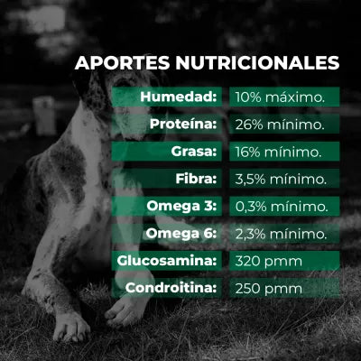 Maintenance - Alimento para perros adultos