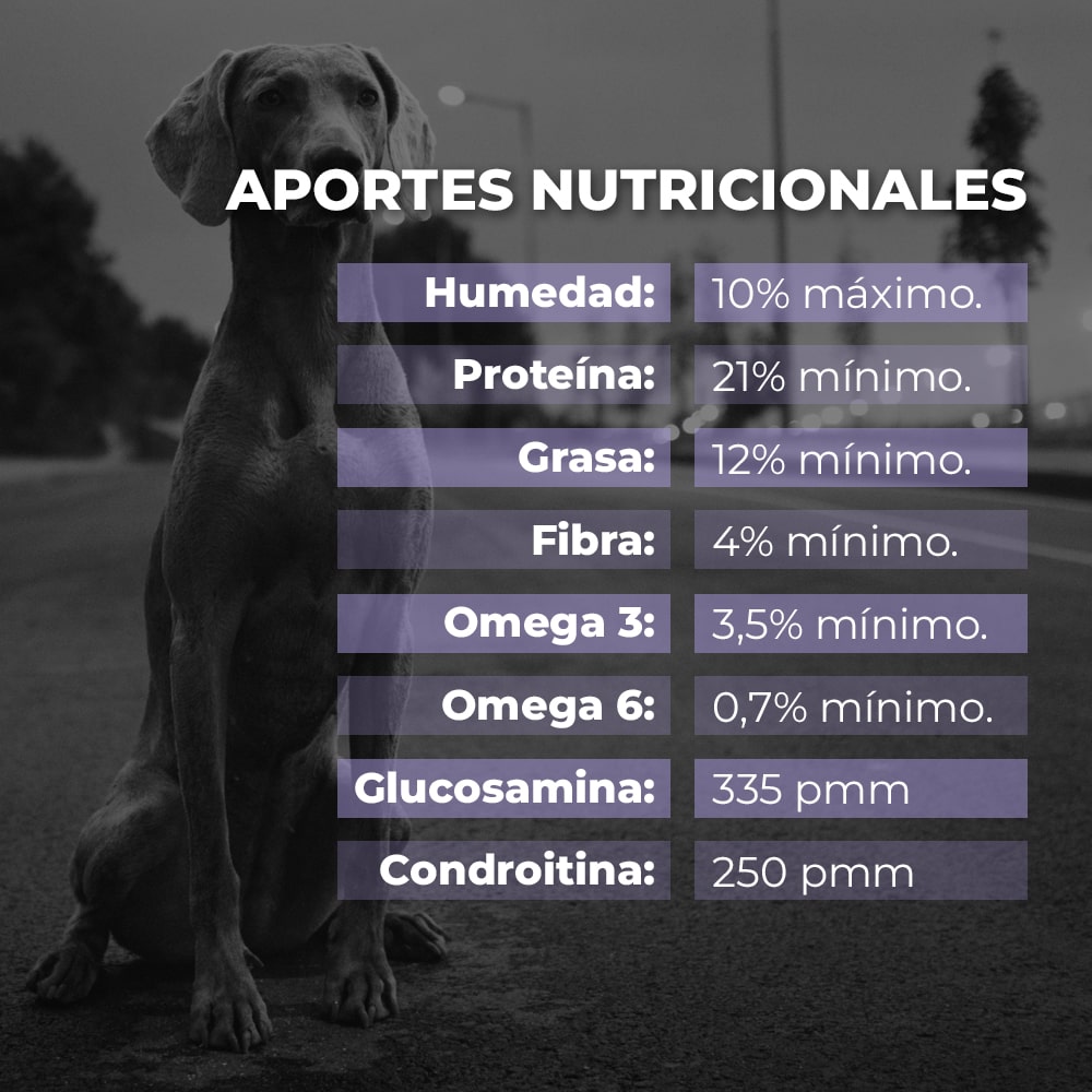 Holistic - Alimentos para perros con alergias y sensibilidad alimenticia.