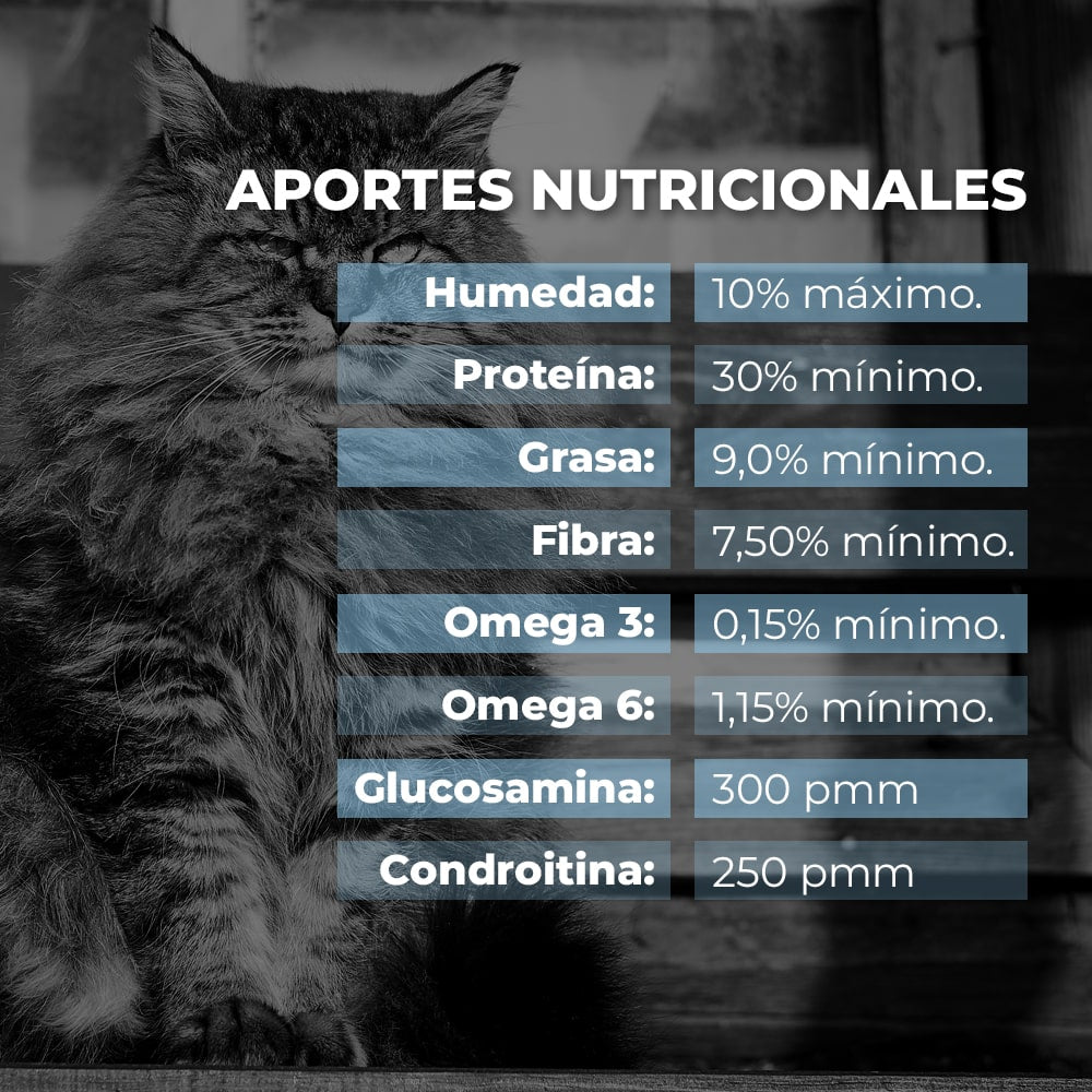 Weight Management Cat - Alimento para gatos geriatras y con sobrepeso. 2.7 kg