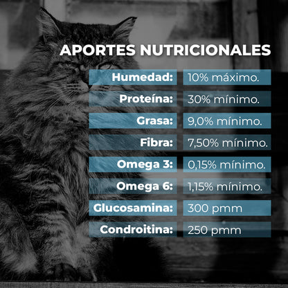 Weight Management Cat - Alimento para gatos geriatras y con sobrepeso. 2.7 kg