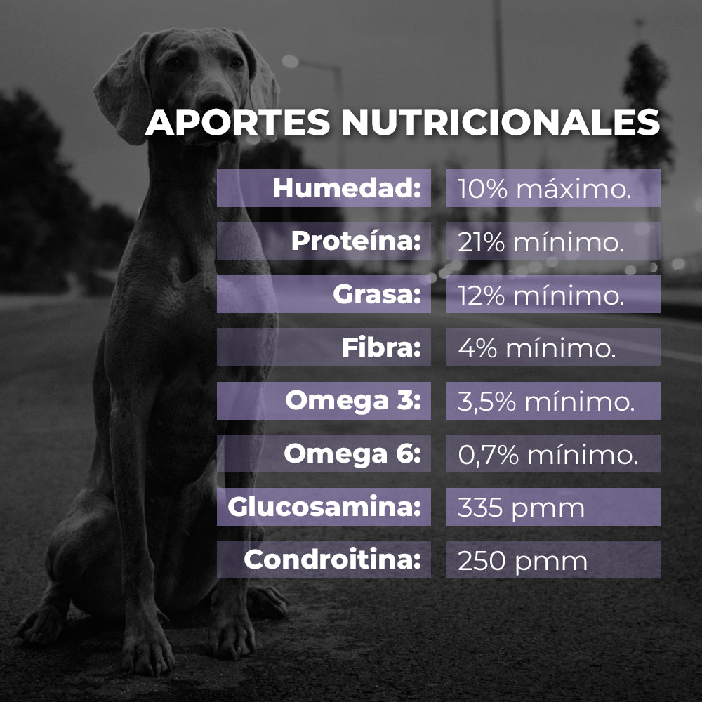 Holistic - Alimentos para perros con alergias y sensibilidad alimenticia.