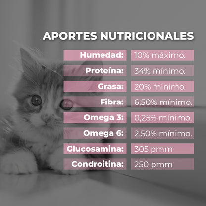 Kitten - Alimento para gatos cachorros.
