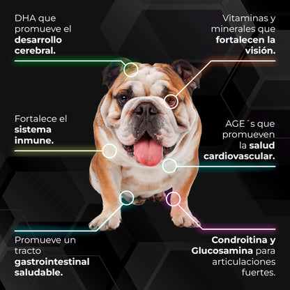 Holistic - Alimentos para perros con alergias y sensibilidad alimenticia.